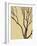 Bare Tree I-Norman Wyatt Jr.-Framed Art Print