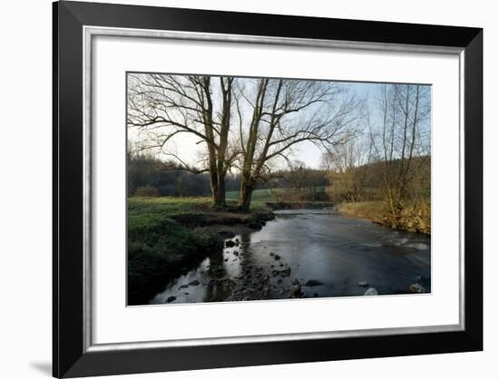 Bare Trees and River at Wurselen- Bardenberg,Wurmtal - Germany-Florian Monheim-Framed Photographic Print