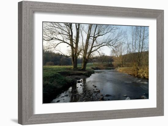 Bare Trees and River at Wurselen- Bardenberg,Wurmtal - Germany-Florian Monheim-Framed Photographic Print