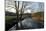 Bare Trees and River at Wurselen- Bardenberg,Wurmtal - Germany-Florian Monheim-Mounted Photographic Print