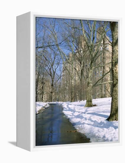 Bare Trees and Snow in Winter in Central Park, Manhattan, New York City, USA-David Lomax-Framed Premier Image Canvas