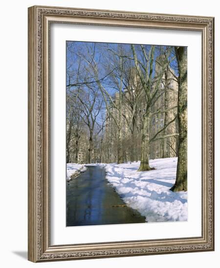 Bare Trees and Snow in Winter in Central Park, Manhattan, New York City, USA-David Lomax-Framed Photographic Print