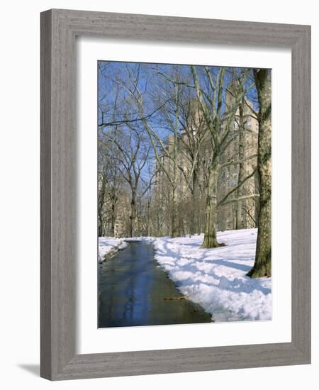 Bare Trees and Snow in Winter in Central Park, Manhattan, New York City, USA-David Lomax-Framed Photographic Print