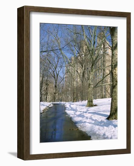 Bare Trees and Snow in Winter in Central Park, Manhattan, New York City, USA-David Lomax-Framed Photographic Print