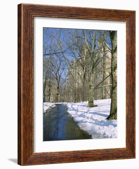 Bare Trees and Snow in Winter in Central Park, Manhattan, New York City, USA-David Lomax-Framed Photographic Print