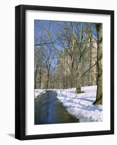 Bare Trees and Snow in Winter in Central Park, Manhattan, New York City, USA-David Lomax-Framed Photographic Print