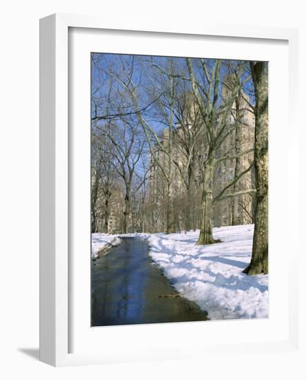Bare Trees and Snow in Winter in Central Park, Manhattan, New York City, USA-David Lomax-Framed Photographic Print