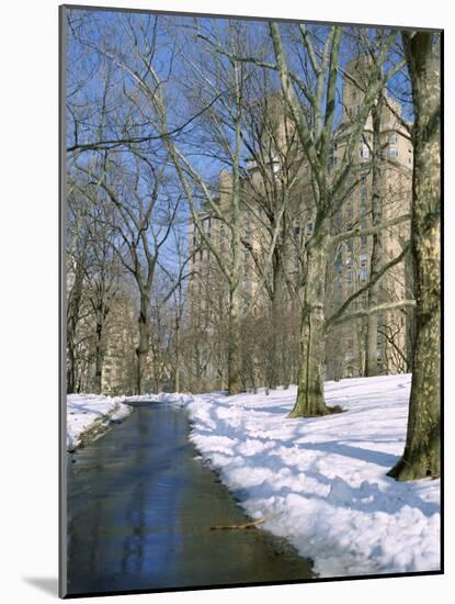 Bare Trees and Snow in Winter in Central Park, Manhattan, New York City, USA-David Lomax-Mounted Photographic Print