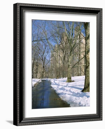 Bare Trees and Snow in Winter in Central Park, Manhattan, New York City, USA-David Lomax-Framed Photographic Print