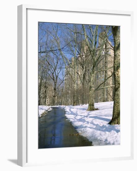 Bare Trees and Snow in Winter in Central Park, Manhattan, New York City, USA-David Lomax-Framed Photographic Print