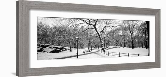 Bare Trees During Winter in a Park, Central Park, Manhattan, New York City, New York State, USA-null-Framed Photographic Print