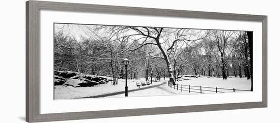 Bare Trees During Winter in a Park, Central Park, Manhattan, New York City, New York State, USA-null-Framed Photographic Print