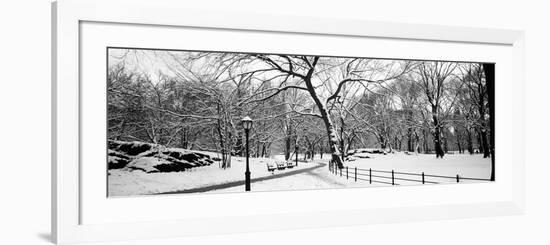 Bare Trees During Winter in a Park, Central Park, Manhattan, New York City, New York State, USA-null-Framed Photographic Print