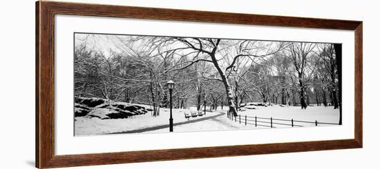 Bare Trees During Winter in a Park, Central Park, Manhattan, New York City, New York State, USA-null-Framed Photographic Print