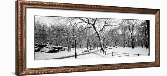 Bare Trees During Winter in a Park, Central Park, Manhattan, New York City, New York State, USA-null-Framed Photographic Print