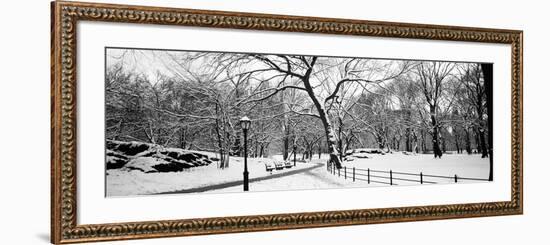 Bare Trees During Winter in a Park, Central Park, Manhattan, New York City, New York State, USA-null-Framed Photographic Print