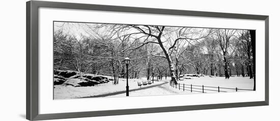 Bare Trees During Winter in a Park, Central Park, Manhattan, New York City, New York State, USA-null-Framed Photographic Print