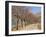 Bare Trees Line a Rural Road at Drome, Col De Perty in the Rhone Alpes, France, Europe-Michael Busselle-Framed Photographic Print