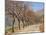 Bare Trees Line a Rural Road at Drome, Col De Perty in the Rhone Alpes, France, Europe-Michael Busselle-Mounted Photographic Print