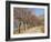 Bare Trees Line a Rural Road at Drome, Col De Perty in the Rhone Alpes, France, Europe-Michael Busselle-Framed Photographic Print