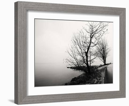 Bare Trees on a Lake Side Bank-Sharon Wish-Framed Photographic Print