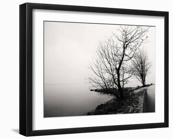 Bare Trees on a Lake Side Bank-Sharon Wish-Framed Photographic Print