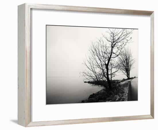 Bare Trees on a Lake Side Bank-Sharon Wish-Framed Photographic Print