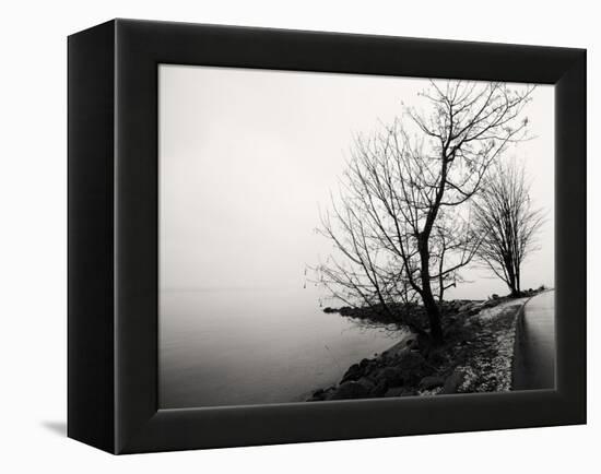 Bare Trees on a Lake Side Bank-Sharon Wish-Framed Premier Image Canvas