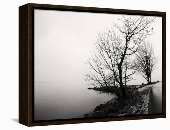 Bare Trees on a Lake Side Bank-Sharon Wish-Framed Premier Image Canvas