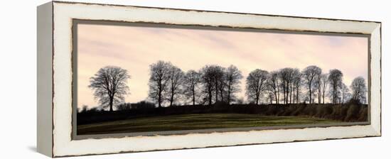 Bare Trees on a Ridge across a Field at Sunset, Bourton on the Hill, Gloucestershire, England, UK-David Hughes-Framed Premier Image Canvas
