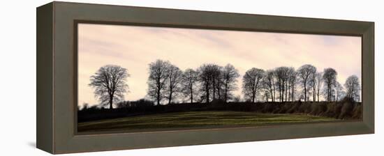 Bare Trees on a Ridge across a Field at Sunset, Bourton on the Hill, Gloucestershire, England, UK-David Hughes-Framed Premier Image Canvas