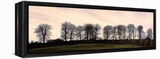 Bare Trees on a Ridge across a Field at Sunset, Bourton on the Hill, Gloucestershire, England, UK-David Hughes-Framed Premier Image Canvas