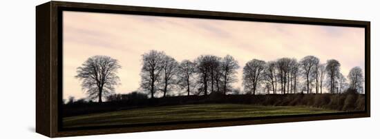 Bare Trees on a Ridge across a Field at Sunset, Bourton on the Hill, Gloucestershire, England, UK-David Hughes-Framed Premier Image Canvas