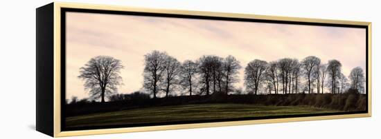 Bare Trees on a Ridge across a Field at Sunset, Bourton on the Hill, Gloucestershire, England, UK-David Hughes-Framed Premier Image Canvas