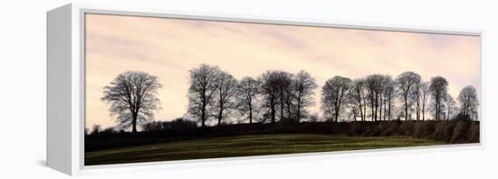 Bare Trees on a Ridge across a Field at Sunset, Bourton on the Hill, Gloucestershire, England, UK-David Hughes-Framed Premier Image Canvas