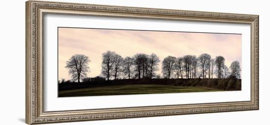 Bare Trees on a Ridge across a Field at Sunset, Bourton on the Hill, Gloucestershire, England, UK-David Hughes-Framed Photographic Print