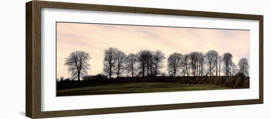 Bare Trees on a Ridge across a Field at Sunset, Bourton on the Hill, Gloucestershire, England, UK-David Hughes-Framed Photographic Print