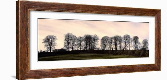 Bare Trees on a Ridge across a Field at Sunset, Bourton on the Hill, Gloucestershire, England, UK-David Hughes-Framed Photographic Print