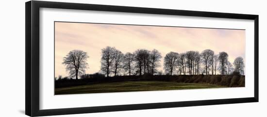 Bare Trees on a Ridge across a Field at Sunset, Bourton on the Hill, Gloucestershire, England, UK-David Hughes-Framed Photographic Print