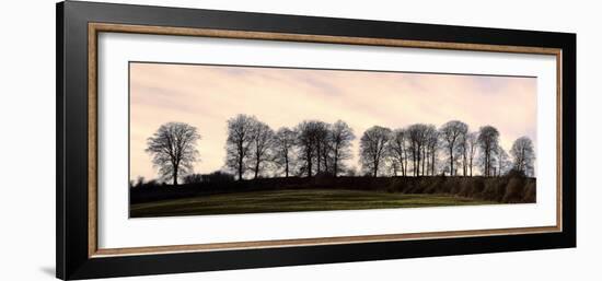 Bare Trees on a Ridge across a Field at Sunset, Bourton on the Hill, Gloucestershire, England, UK-David Hughes-Framed Photographic Print