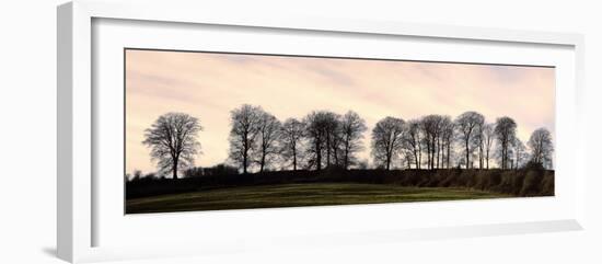 Bare Trees on a Ridge across a Field at Sunset, Bourton on the Hill, Gloucestershire, England, UK-David Hughes-Framed Photographic Print