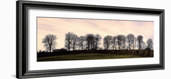 Bare Trees on a Ridge across a Field at Sunset, Bourton on the Hill, Gloucestershire, England, UK-David Hughes-Framed Photographic Print