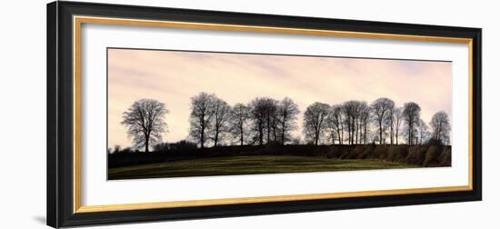 Bare Trees on a Ridge across a Field at Sunset, Bourton on the Hill, Gloucestershire, England, UK-David Hughes-Framed Photographic Print