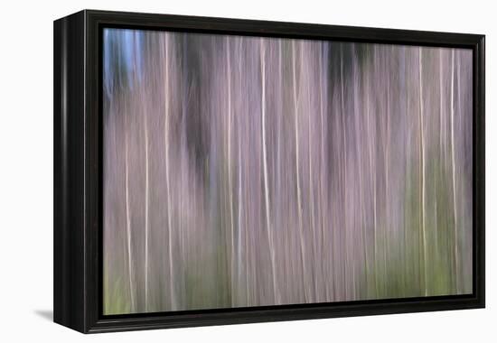 Bare Trees-Jacob Berghoef-Framed Premier Image Canvas