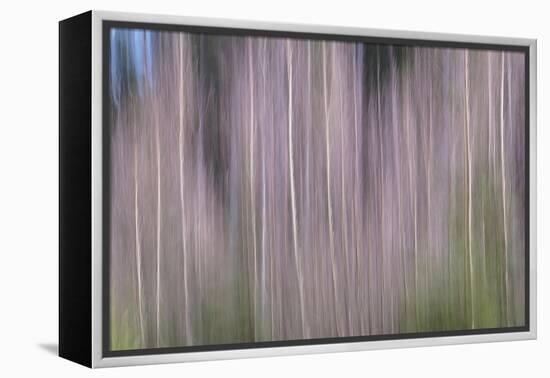 Bare Trees-Jacob Berghoef-Framed Premier Image Canvas