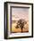 Bare Winter Tree at Sunset, the Roaches, Staffordshire, Peak District National Park, England, Unite-Chris Hepburn-Framed Photographic Print