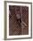 Barefoot Girl Swinging on Structure Containing Baby Chicks in Coop, Woodstock Music and Art Fair-John Dominis-Framed Photographic Print