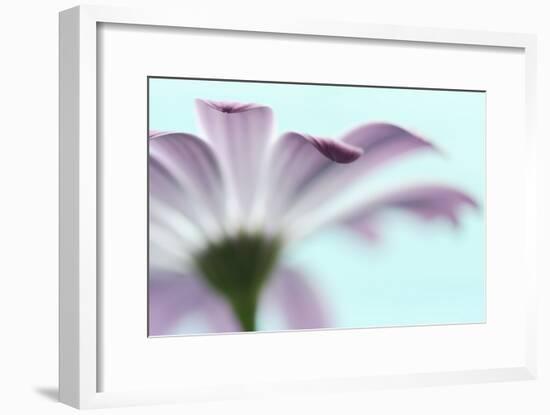 Barely-Heidi Westum-Framed Photographic Print