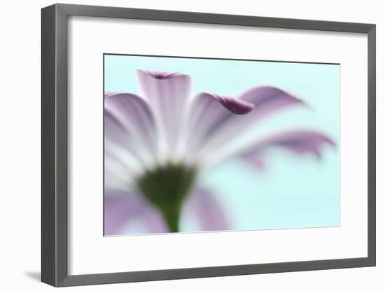 Barely-Heidi Westum-Framed Photographic Print