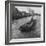 Barge "Castlenock", the "Guinness Navy", Sailing Down River Liffey with Hogsheads of Guinness Stout-David Scherman-Framed Photographic Print